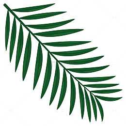 丛林森林卡通扁平叶子