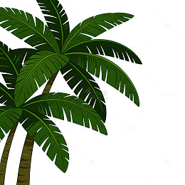 丛林森林卡通扁平风椰子树