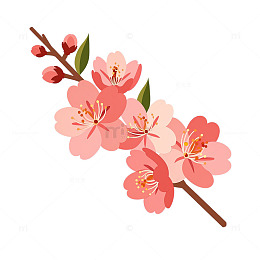 梦幻桃花纷飞如诗如画