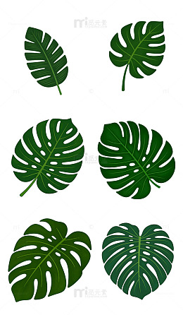 丛林森林卡通扁平风树叶