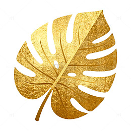 金色热带叶装饰图案设计元素