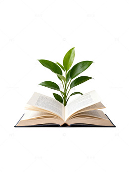 知识之树从书中生长
