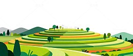 梯田风光矢量插画