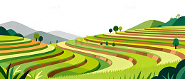 梯田风光田园插画