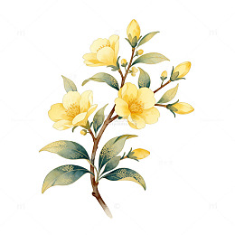 手绘黄花植物插画