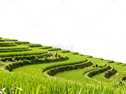 梯田风光农民劳作自然风光片