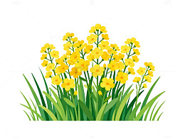 插画风格油菜花矢量图