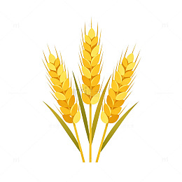 卡通风格小麦矢量图案设计元素