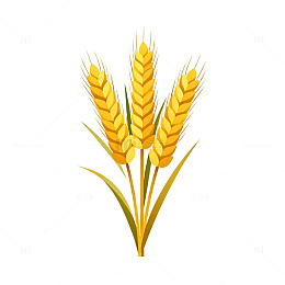 卡通小麦插画素材