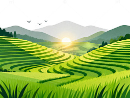 梯田日落风光插画