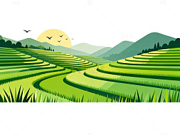 田园风光梯田插画