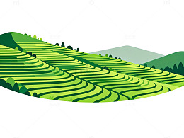 梯田风光矢量插画