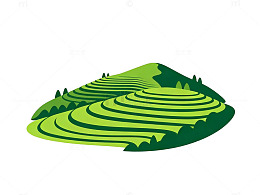 梯田风光矢量插画