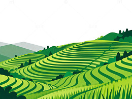 梯田风光矢量插画设计
