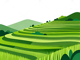 梯田风光插画设计