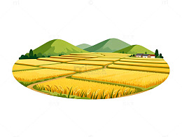 田园风光稻田插画