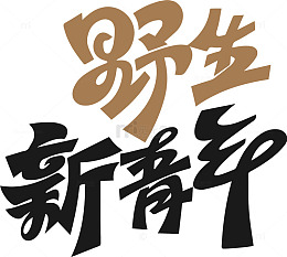 野生新青年艺术字体设计