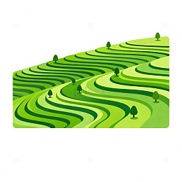 梯田风光矢量插画设计