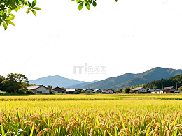 田园风光山村稻田风景画