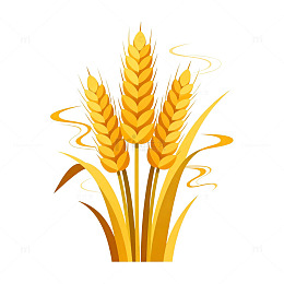 卡通风格麦穗插画矢量素材
