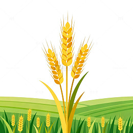 金色麦穗田园风光插画