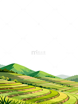 梯田风光插画