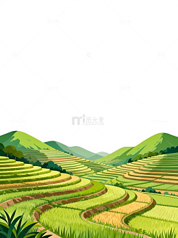 梯田风光田园插画