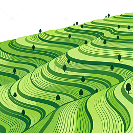 绿色梯田风光插画
