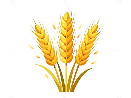 卡通小麦穗插画素材
