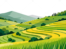 梯田风光矢量插画