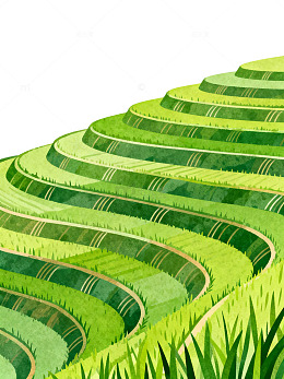 梯田风光绿色画卷插画素材