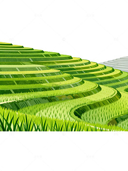 梯田风光绿色插画
