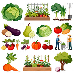田园风蔬菜插画设计元素