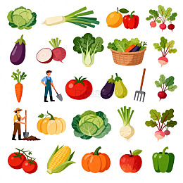 田园风蔬菜插画设计素材
