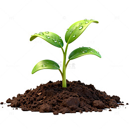 清新植物生长图片
