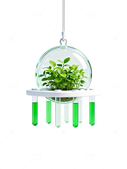 玻璃球绿植科学实验设计素材