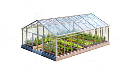 透明温室栽培植物插画