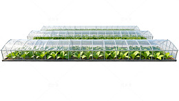 透明温室多层种植设计图