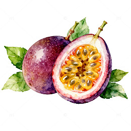水彩画百香果果实插画