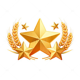 金色星形徽章图案