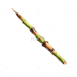 幽深竹林中的翠绿宝刃