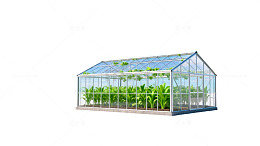 玻璃温室种植图
