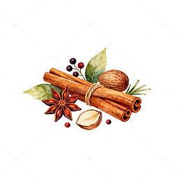 水彩风格香料插画