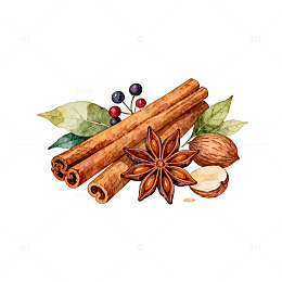 水彩风格香料组合插画