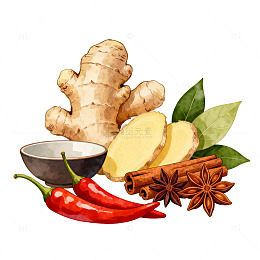 香料食材组合插画
