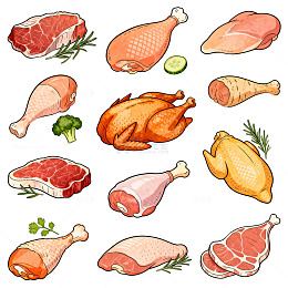 手绘鸡肉和猪肉插画