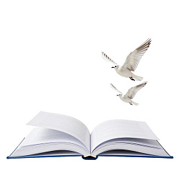 书页间飞翔的白鸽图片