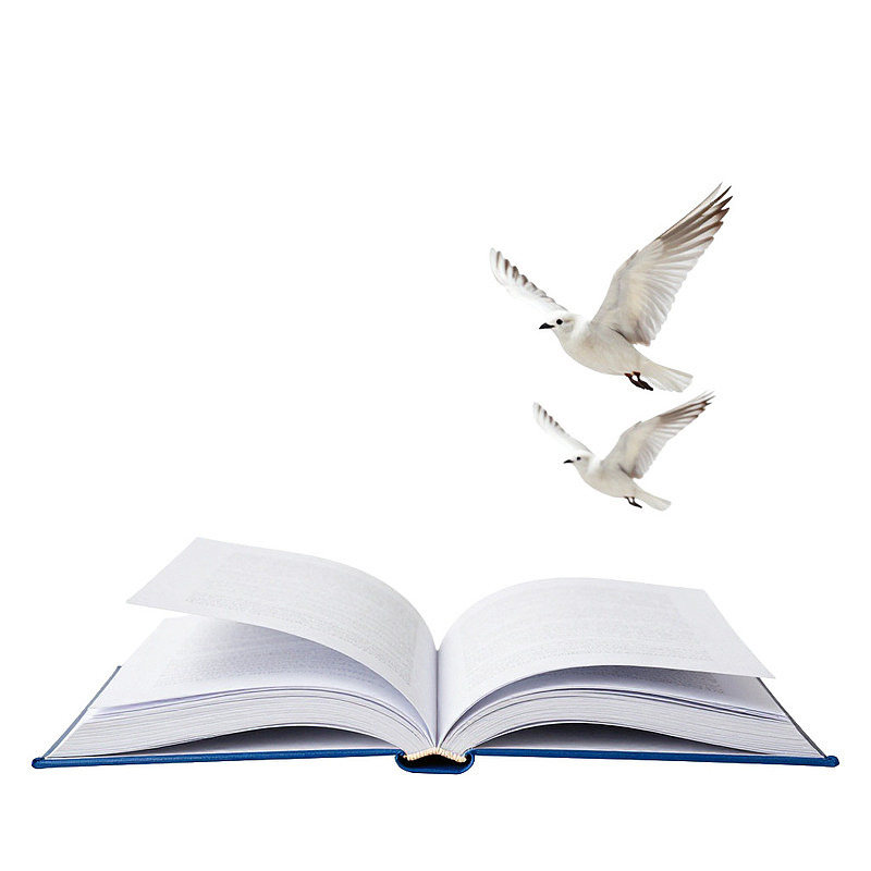 书页间飞翔的白鸽图片