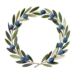 橄榄枝环白色背景图片