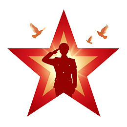 军人敬礼剪影与红星飞鸟